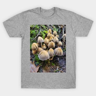 Shrooms T-Shirt